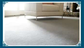 What Is The Carpet Cleaning Service Cost In Nassau