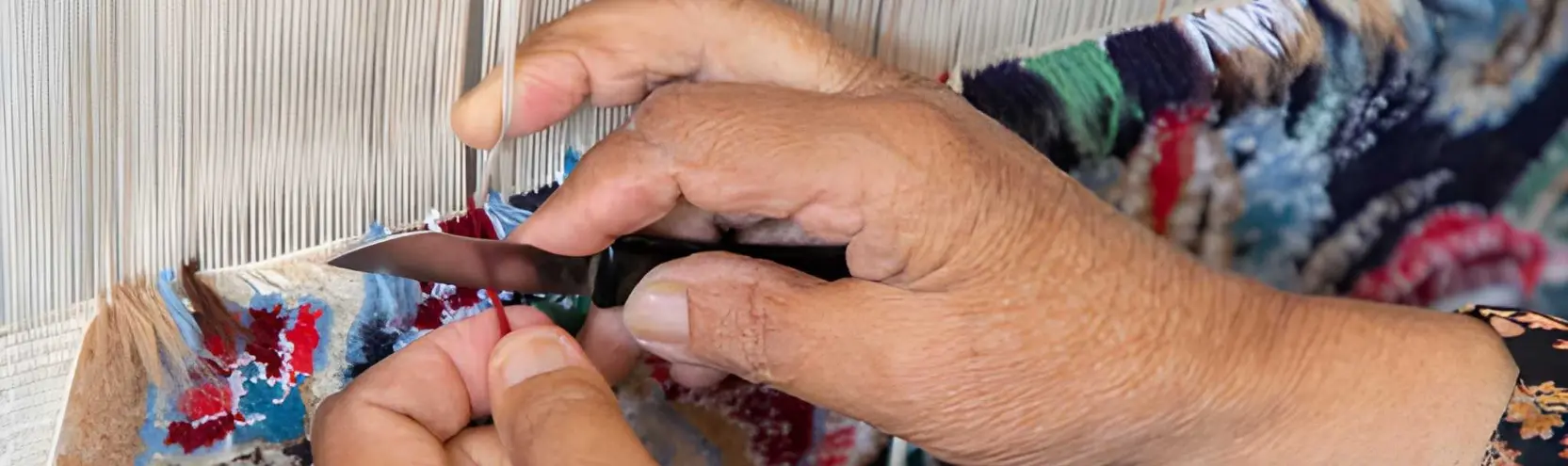 Area Rug Restoration hero image