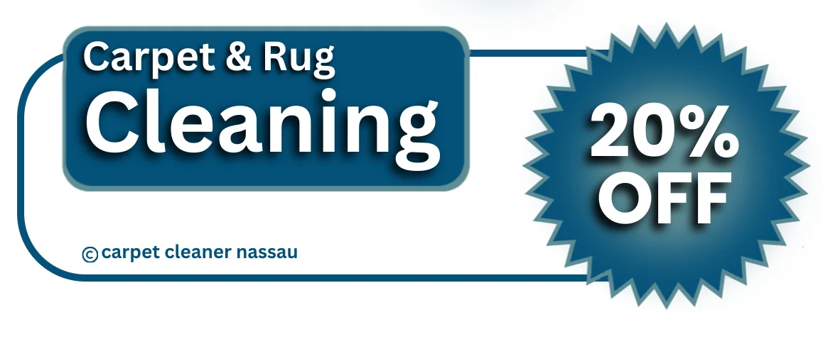 Get 20 percent off with any are rug cleaning