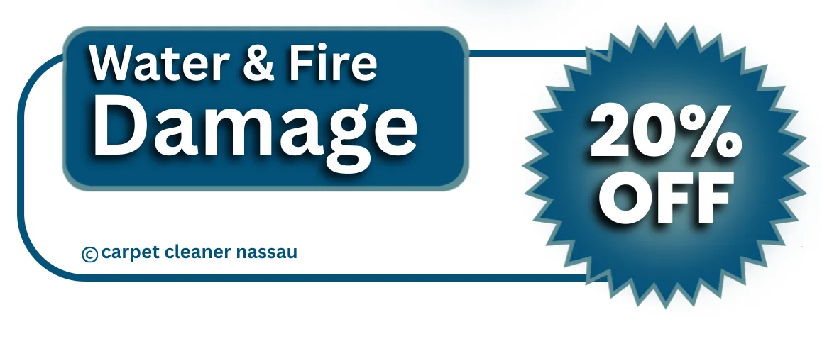 Water and Fire Damage Cleaning